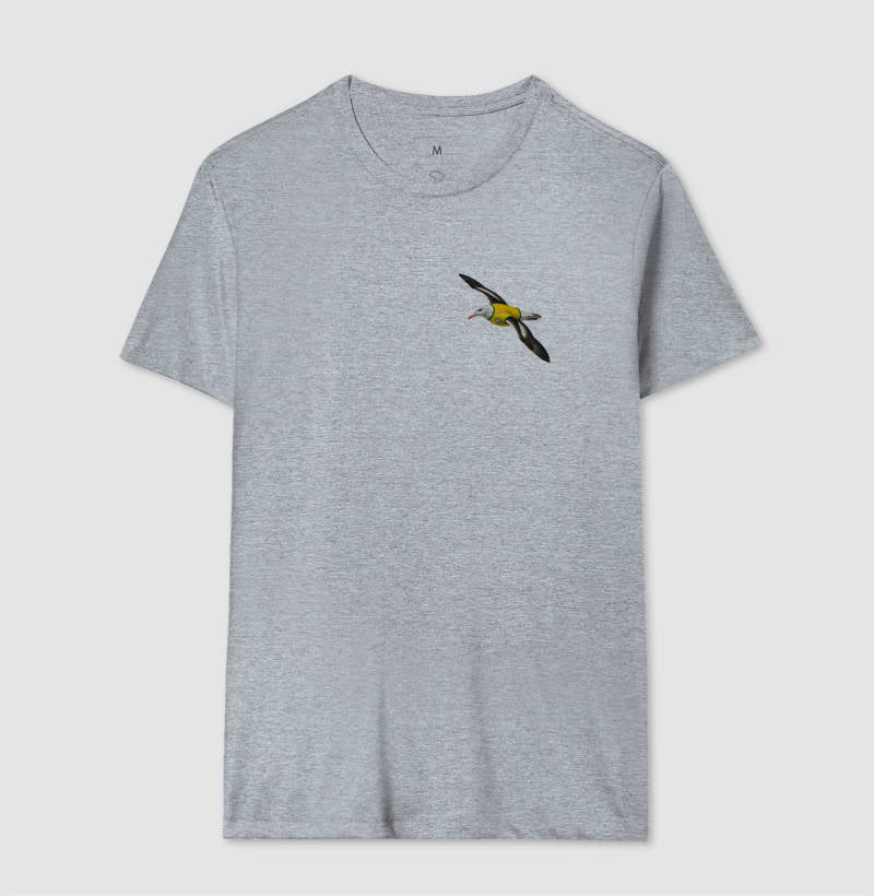 Albatroz do hexa