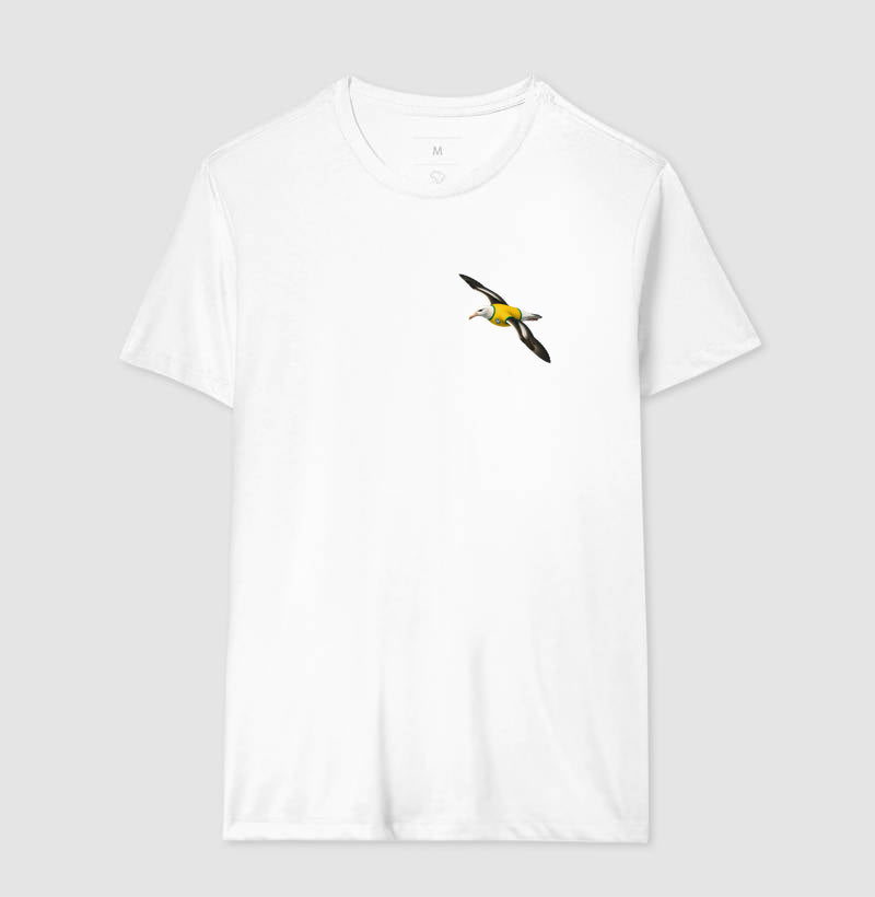 Albatroz do hexa